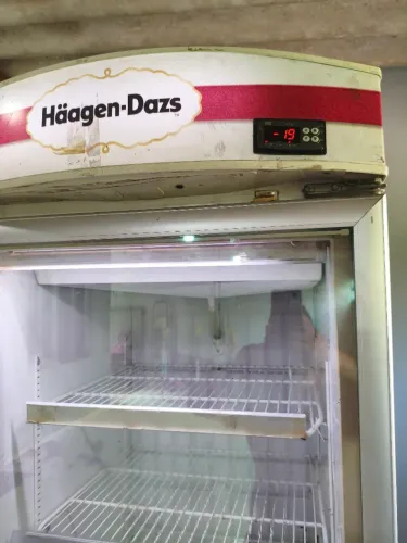 Freezer sorvete -22
