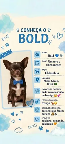 Chihuahua (cruzar, cobertura)