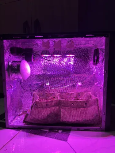 Pc grow estufa cultivo indoor 