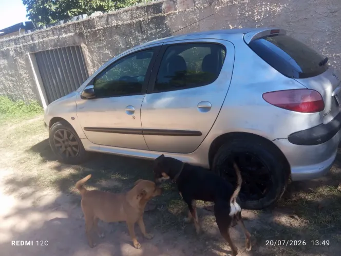 Pecas Peugeot