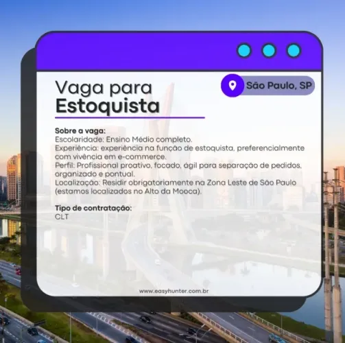 VAGA DE EMPREGO - ESTOQUISTA