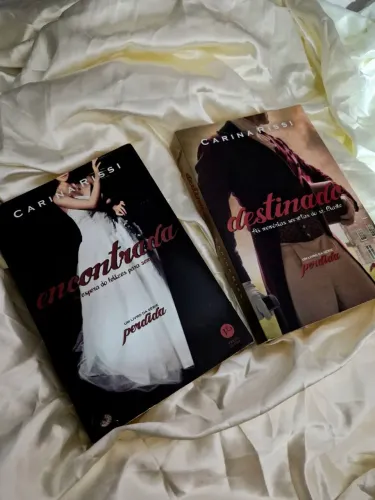 Livro "Perdida"(vol.1) e "Destinado"(vol.3) da Carina Rissi.