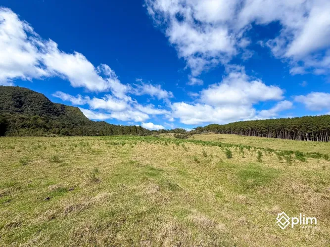 Fazenda de 33,5 hectares em Bom Retiro Área Nobre