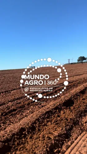 100% de aproveitamento Excelente Oportunidade para Investimento