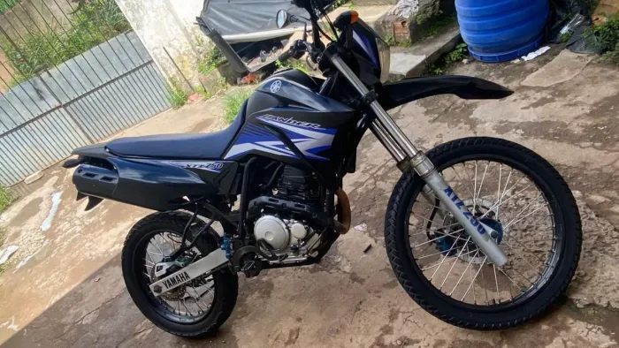 Vendo lá der 2011
