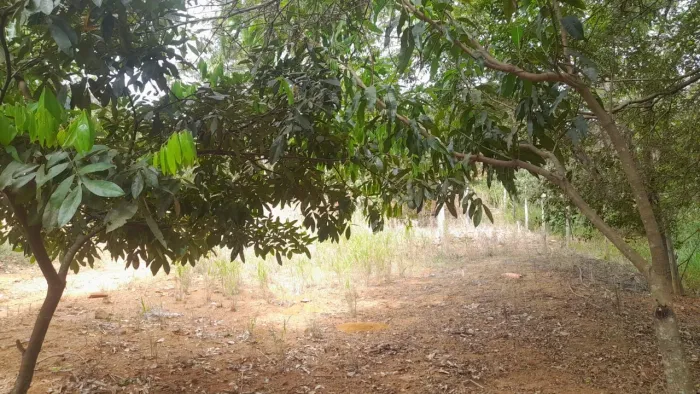 Chácara em Bonfinópolis 
