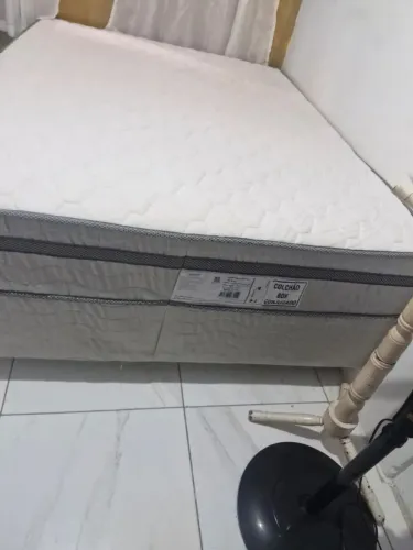 Cama