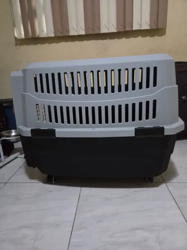 Caixa transporte pet grande