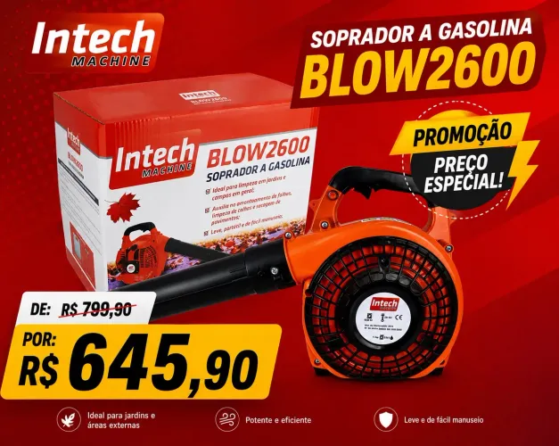 SOPRADOR DE FOLHAS A GASOLINA 