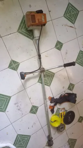 Vê vendo essas rosadeiras da estilo pegando perfeitamente 