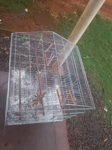 Vendo gaiola