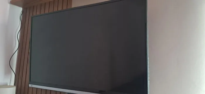 Televisão