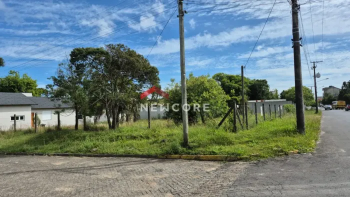 Lote em Rua Santos Dumont - Centro - São Francisco de Paula/RS