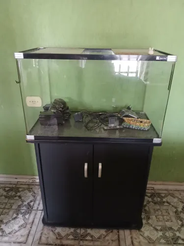 Vendo aquário + móvel