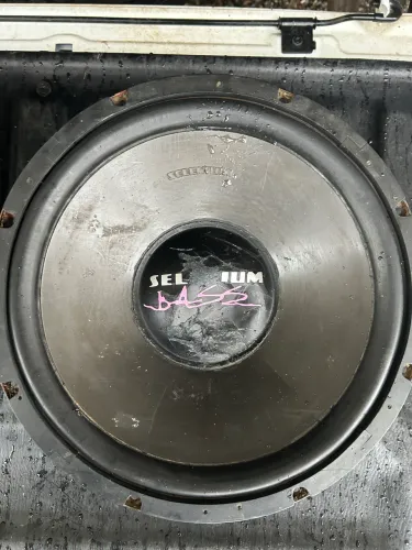 Selenium Bass