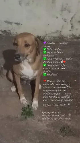 Doação 