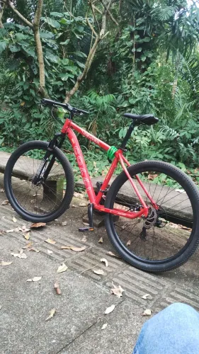 BIKE ARO 29