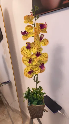 Arranjo floral Novo