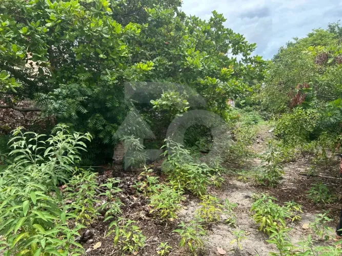 Terreno à Venda na Farolândia com 1.940m² em Localização Próxima à UNIT