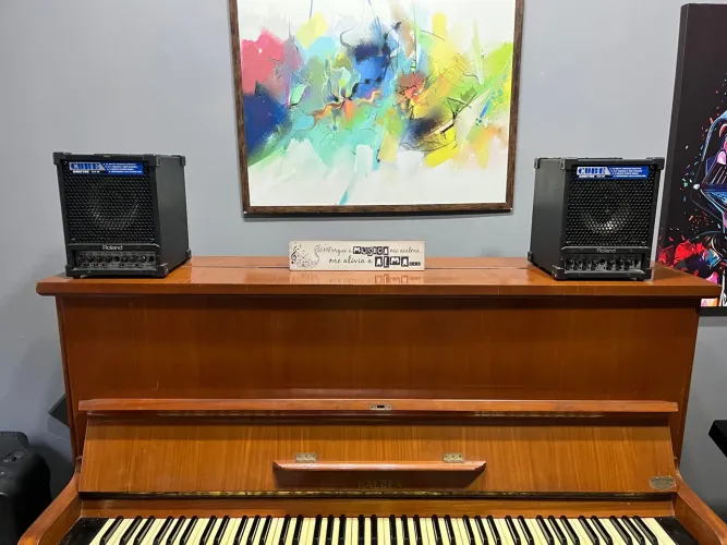 Monitor Amplificado Roland Cm-30 (par)
