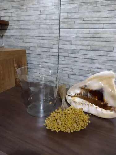 Pote Decorativo de Vidro Transparente