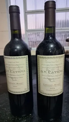 2 garrafas de vinho Cabernet Malbec D.V. Catena
