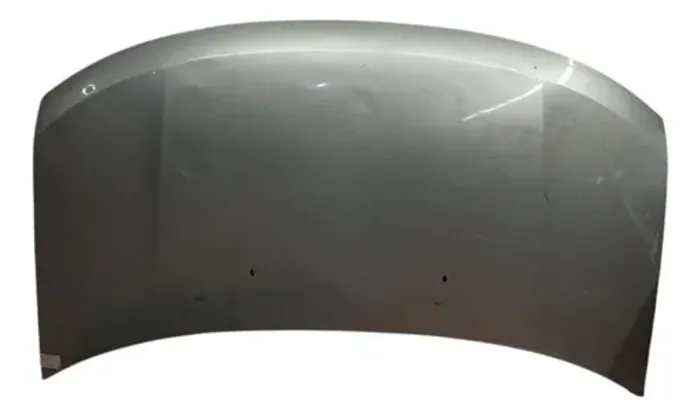 Capô Ford Edge 11 12 13 14 Original