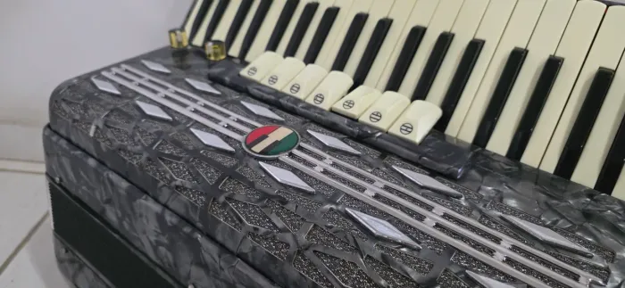 Sanfona Acordeon 120 baixos