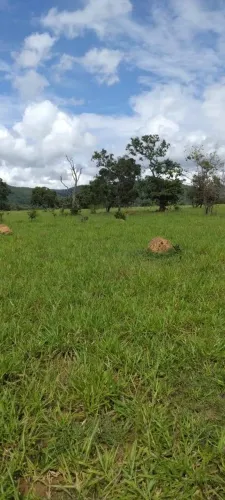 Fazenda à Venda em Ivolândia-GO 50 Alqueires - Dupla Aptidão