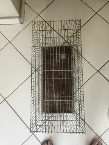 Vendo gaiola 