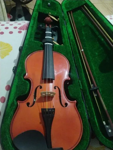 Violino Giannini 4/4.