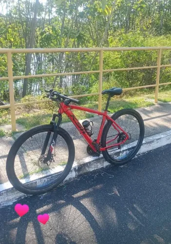 bike aro 29