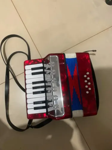 Brinquedo Sanfona Acordeão Gaita Infantil