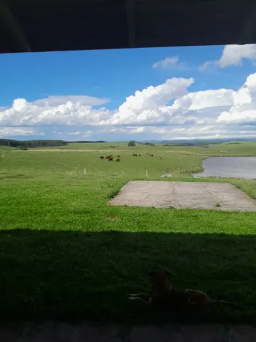 Venda Propriedade Rural de 15,1 hectares.