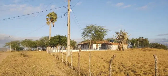 Fazenda em Ipirá - 510 Tarefas (R$ 6.000,00 cada Tarefa) .