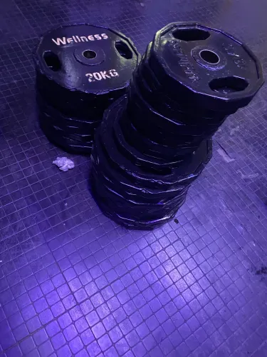 Anilhas olímpicas Wellness