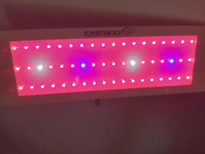 LED PARA CULTIVO + MICROSCÓPIO PARA ANÁLISE