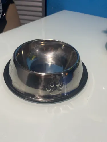  Comedouro de Aço Inox para Cachorro 