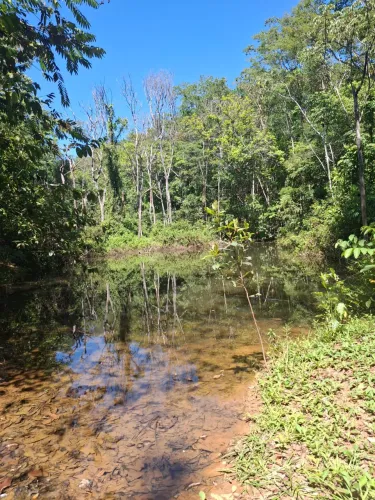 Bela Vista de Goiás Fazendinha de Santa Bárbara 7,05 Alqueires de Campo