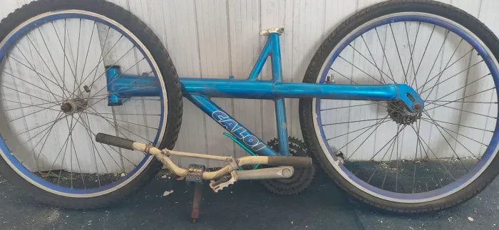 Bicicleta T-type
