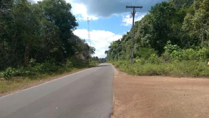 terreno / Áreas 204 Hectares em Novo Airão Amazonas
