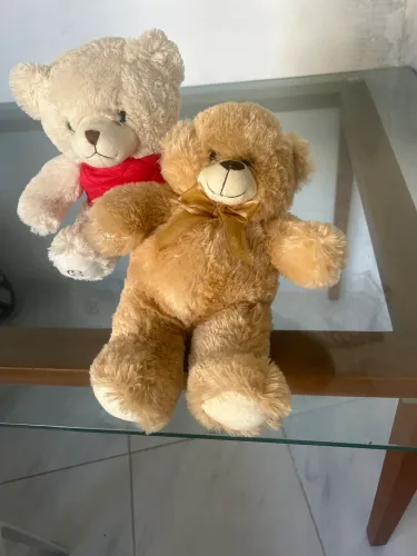 Ursos lindos