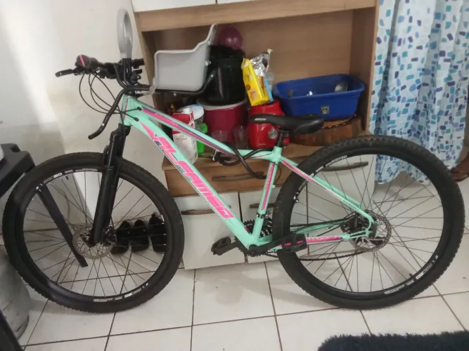 BIKE 29 ALFAMEQ FEMININA