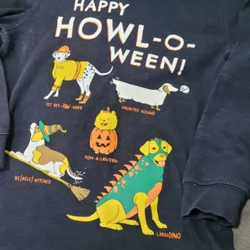 camiseta carter's halloween