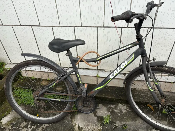 Bicicleta