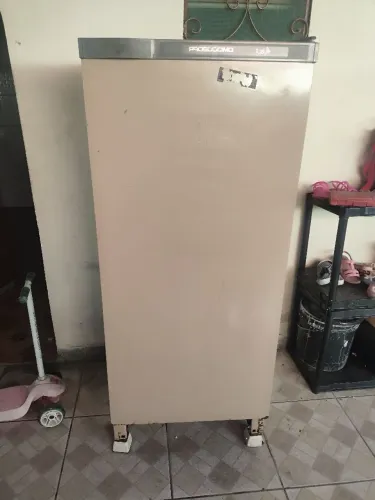 Geladeira 220v