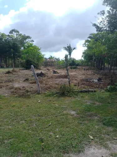 Terreno na cidade de cururupu com as medidas 13X45