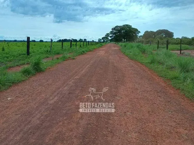 Imóvel para venda possui 15900000 metros quadrados em Zona Rural - Formoso do Araguaia - T