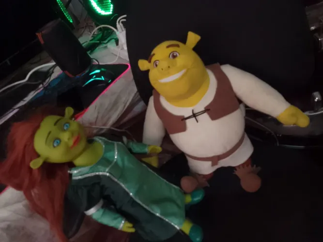 Boneca fiona da bandeirante  e urso Shrek 