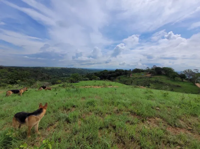 Terreno 3 mil metros em São José da Lapa
